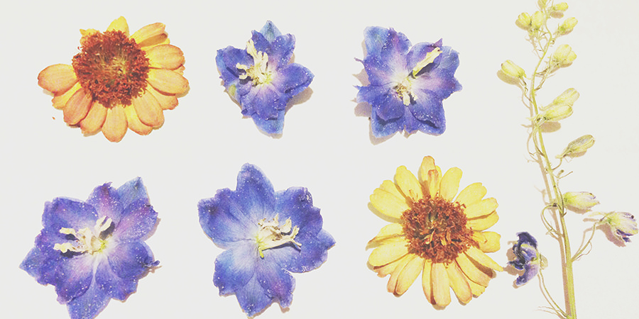 アゴーラ(AGORA)とアレンジ(arrange)のイメージ写真